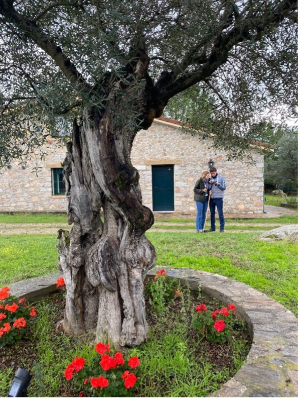oleti