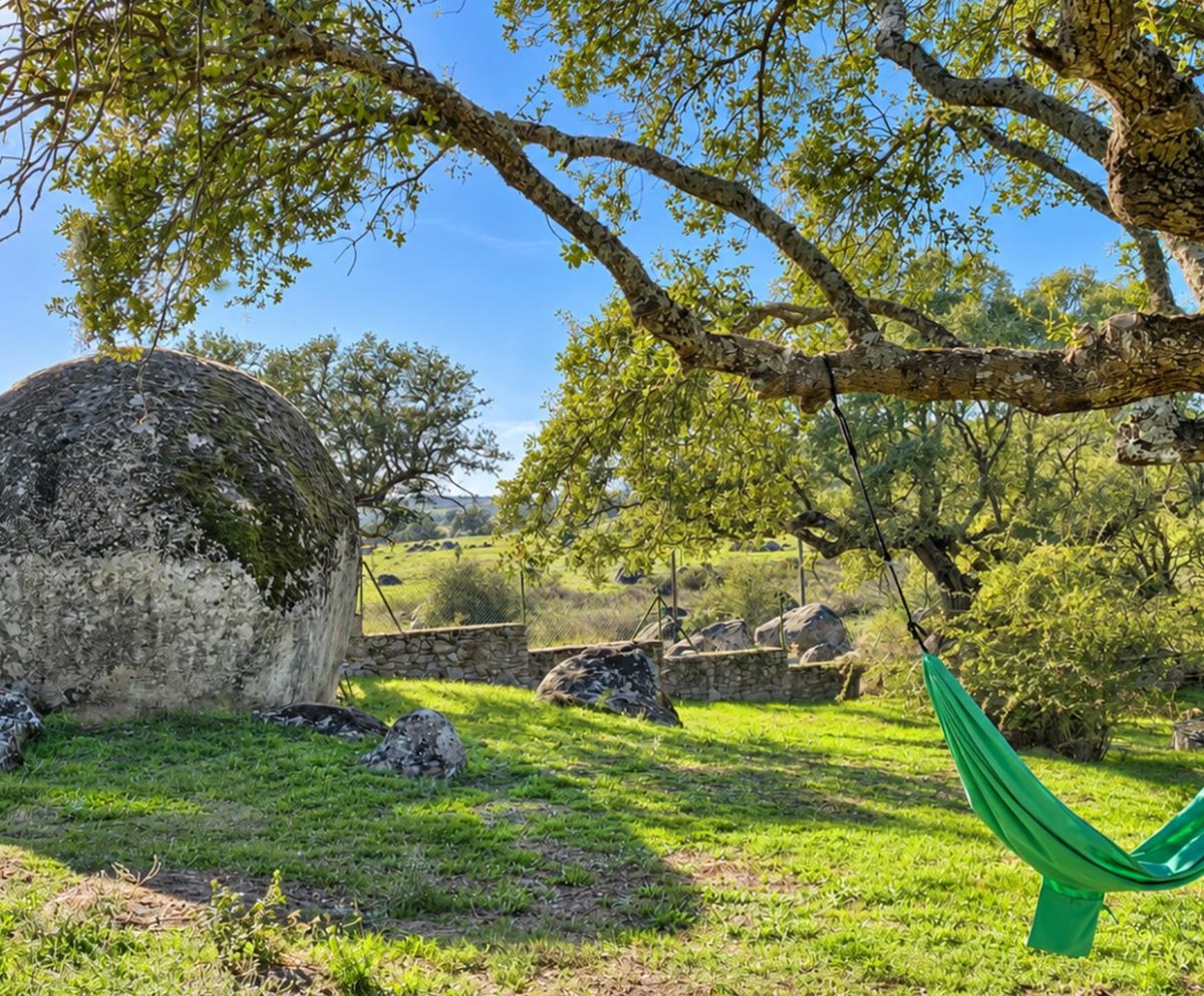 Jardin-Comun